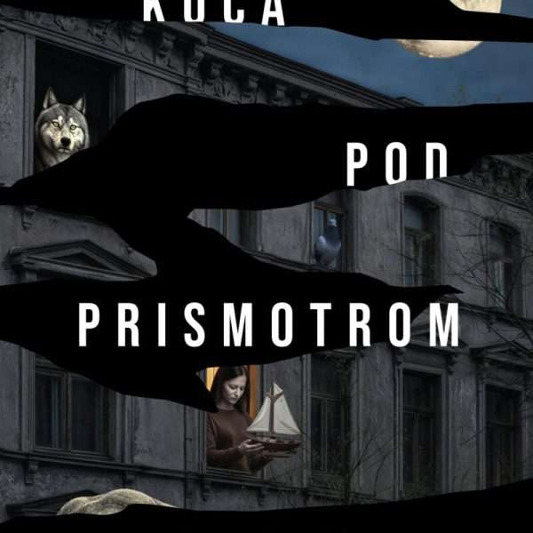 Prilog o knjizi KUĆA POD PRISMOTROM