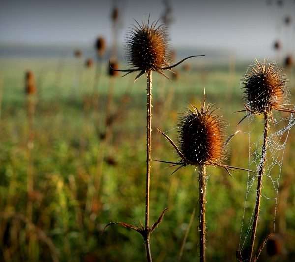 Jutro – Ciklus fotografija Ivane Žerovnik
