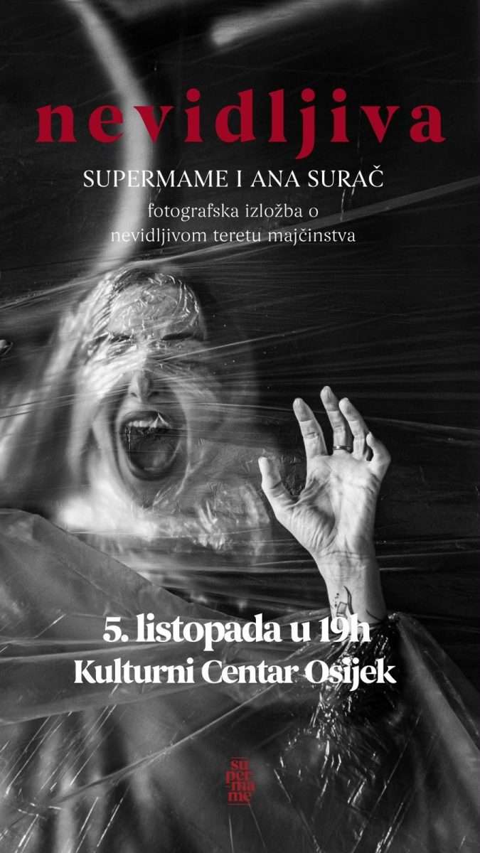 izlozba nevidljiva ana surač