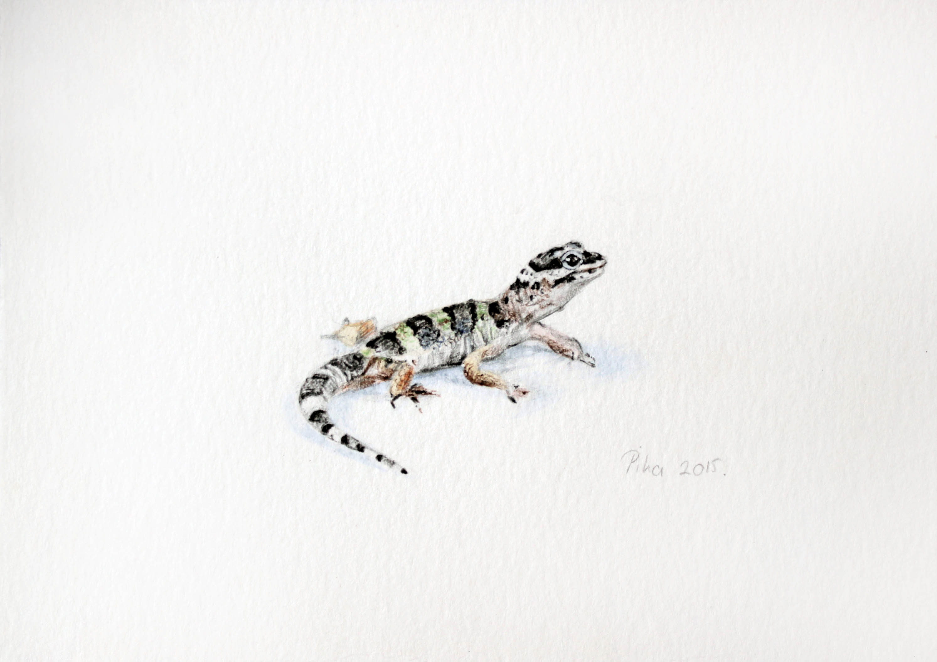 Nikolina Knežević Smallville 1