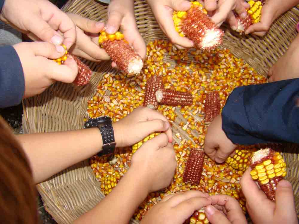 staro selo kumrovec 1