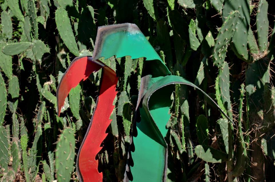 Dalibor-Stosic agave1